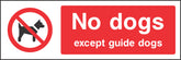 No dogs except guide dogs Sign
